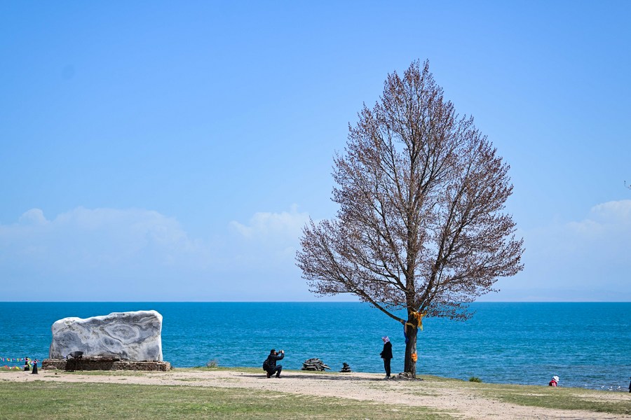 Paisaje del lago Qinghai